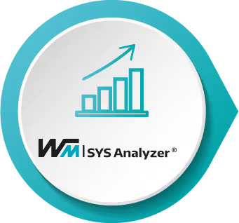 WM | SYS Analyzer